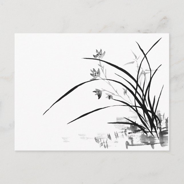Orchid Nobility Postcard (Front)