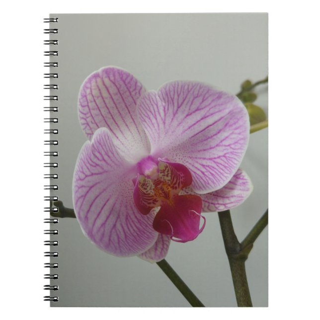 Orchid Notebook (Front)