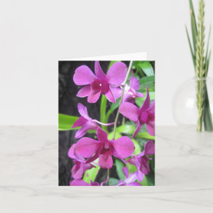 Orchid notecard