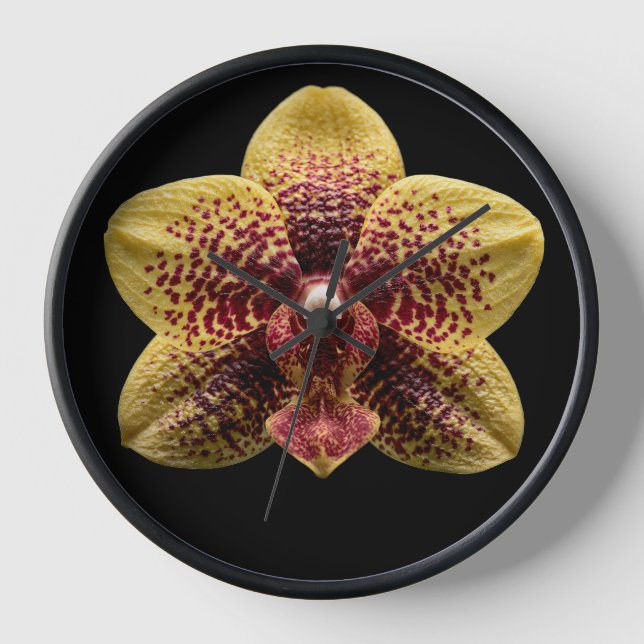 Orchid on Black Background Clock (Front)