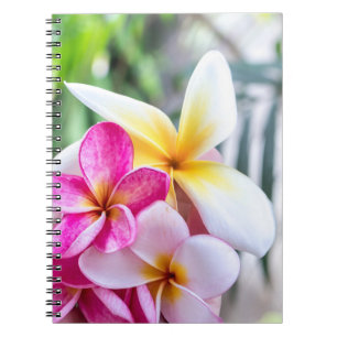 orchid, opal Hawaiian flower kitchen recipe book