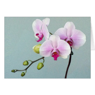 Orchid Orji Card