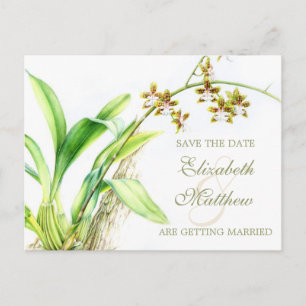 Orchid painted flower save the date card