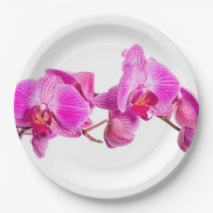 Orchid Paper Plate