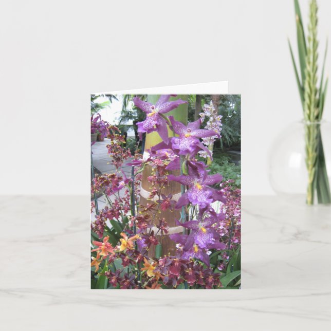 Orchid Path Note Card (Front)