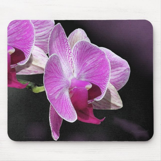 Orchid Phalae Mousepad (Front)