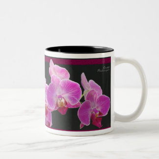 Orchid Phalae Mug
