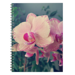 Orchid phalaenopsis ppolka dot pink flowers floral notebook