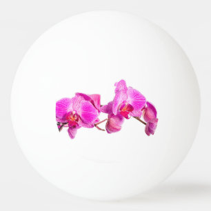 Orchid Ping Pong Ball