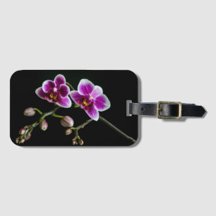 Orchid pink white colour on black pale gentle  luggage tag
