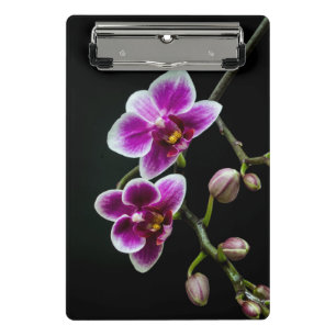 Orchid pink white colour on black pale gentle  mini clipboard