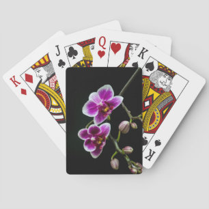 Orchid pink white colour on black pale gentle  playing cards