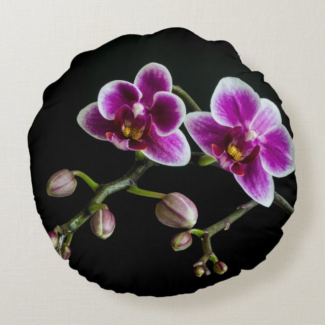 Orchid pink white colour on black pale gentle  round cushion (Back)