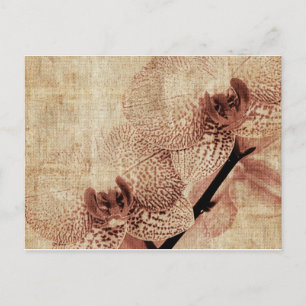 orchid postcard