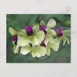 Orchid Postcard