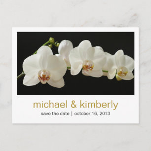 Orchid Save the Date Announcement Postcard