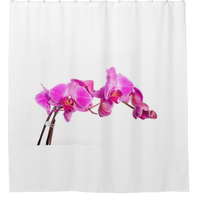 Orchid Shower Curtain (Front)