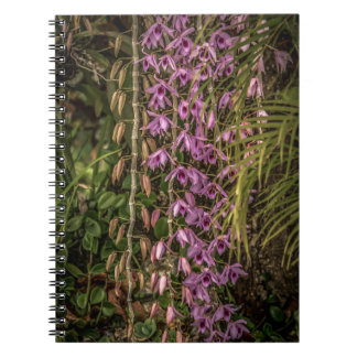 Orchid Spiral Photo Notebook