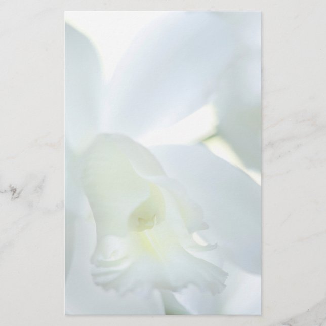 Orchid Stationary Stationery (Front)