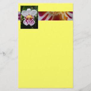Orchid Stationery