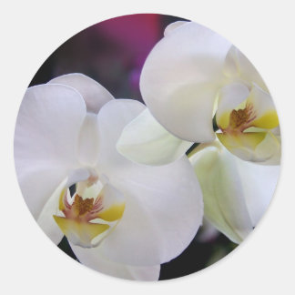 Orchid stickers