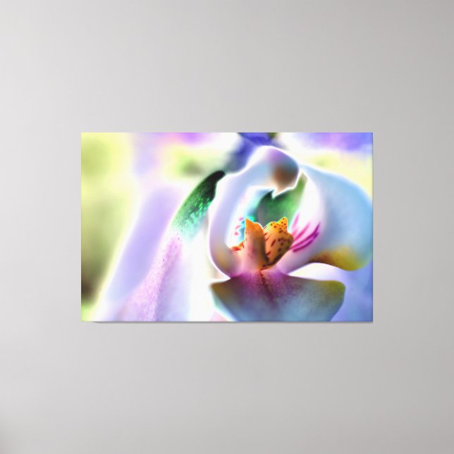 Orchid Stretched Canvas Print (Front)