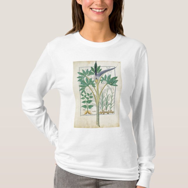 Orchid T-Shirt (Front)