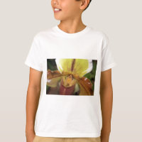 Orchid