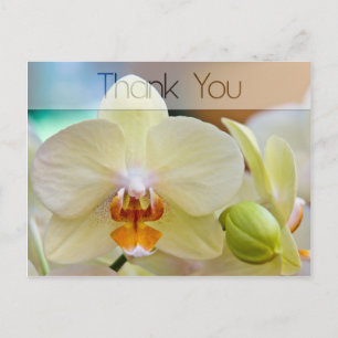 Orchid • Thank You Postcard