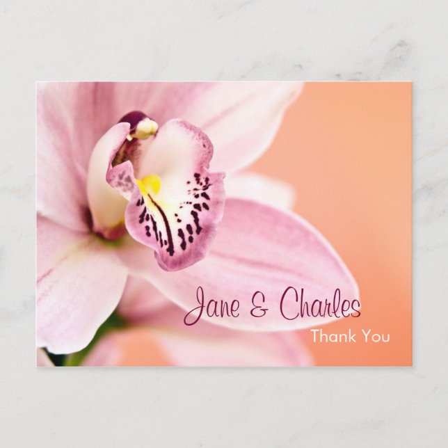 Orchid • Thank You Postcard (Front)