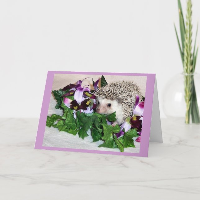 Orchid the Hedgehog Card (Front)