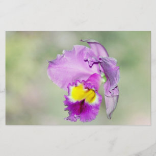 Orchid touched by God for Mum
