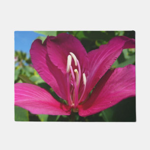 Orchid Tree Blossom Tropical Floral Doormat