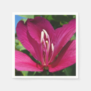 Orchid Tree Blossom Tropical Floral Napkin