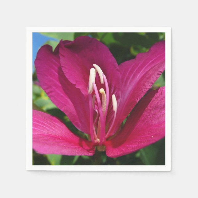 Orchid Tree Blossom Tropical Floral Napkin (Front)