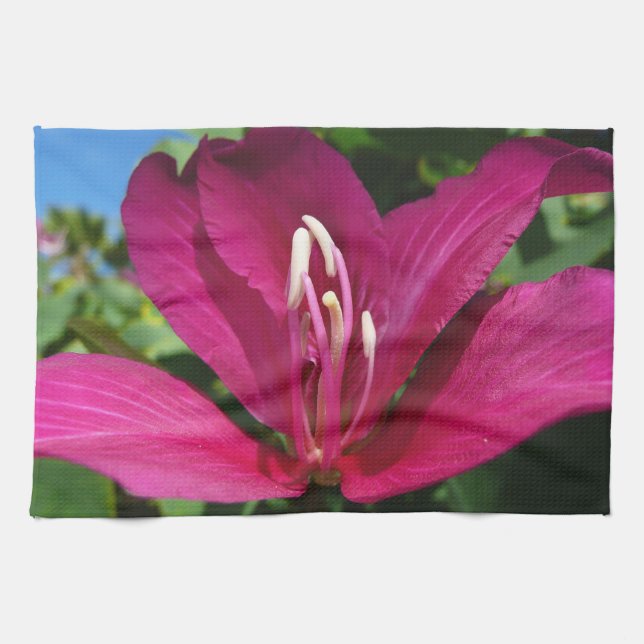 Orchid Tree Blossom Tropical Floral Tea Towel (Horizontal)