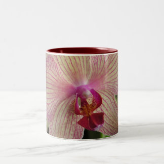 Orchid Two-Tone Coffee Mug