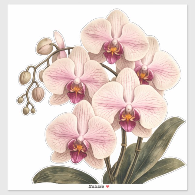 orchid vinyl sticker (Sheet)