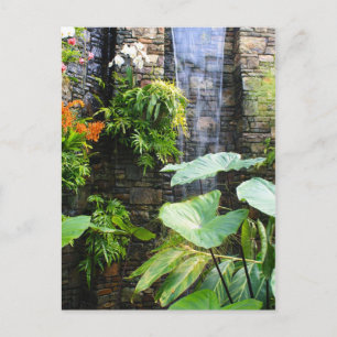 Orchid Wall Postcard