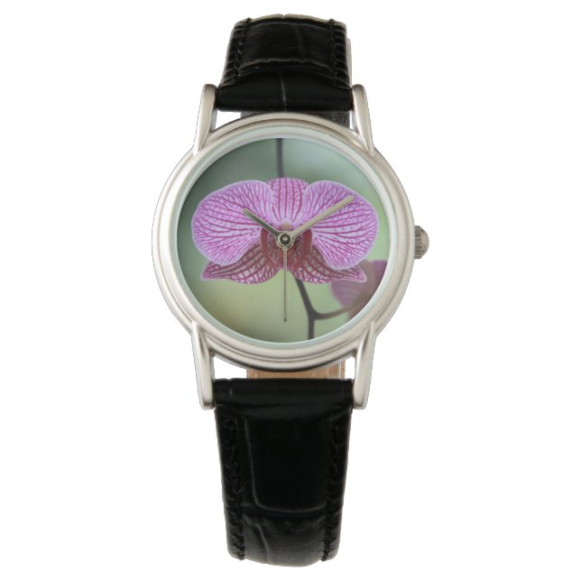 Orchid Watch (Front)