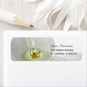 Orchid White and Bridal Veil Wedding Address