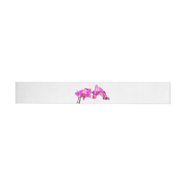 Orchid Wrap Around Label (Individual)