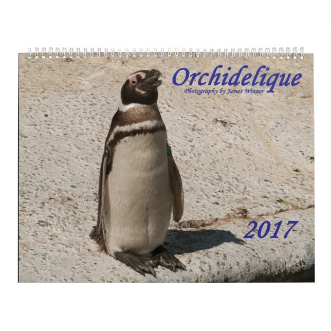 Orchidelique's 2017 Animal Calendar (Cover)