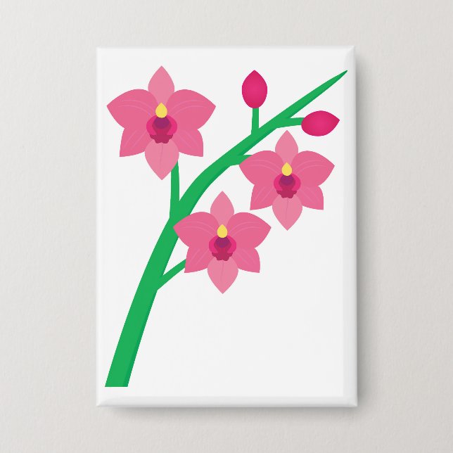 Orchids (Front)