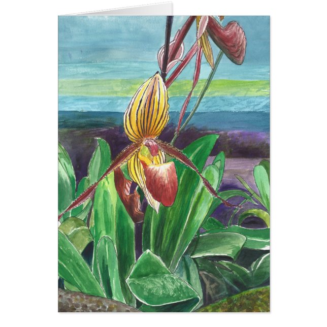 Orchids (Front)