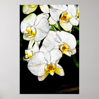 Orchids 1 poster