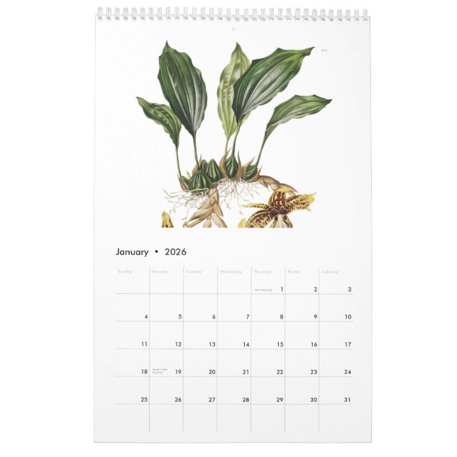 Orchids 2015 calendar (Jan 2026)