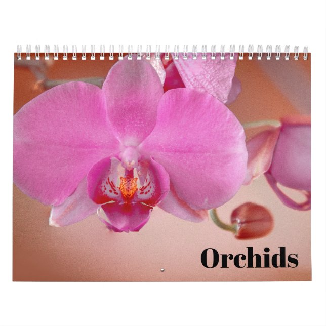 Orchids 2027 calendar (Cover)