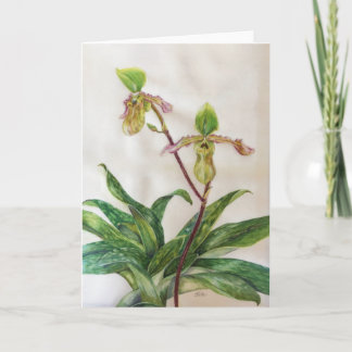Orchids (5" x 7") white envelopes include card