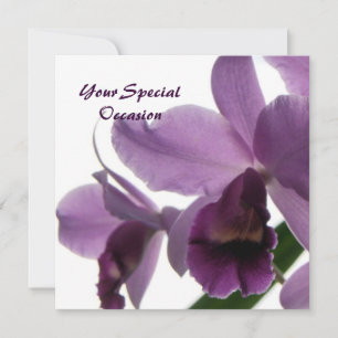 Orchids All-Occasion Invites